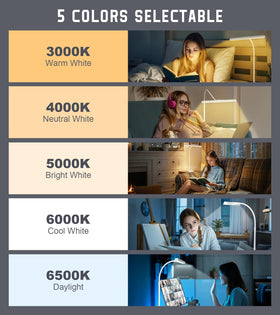 Kaulsoue Desk Lamp eye-caring design reduces harsh shadows during study.