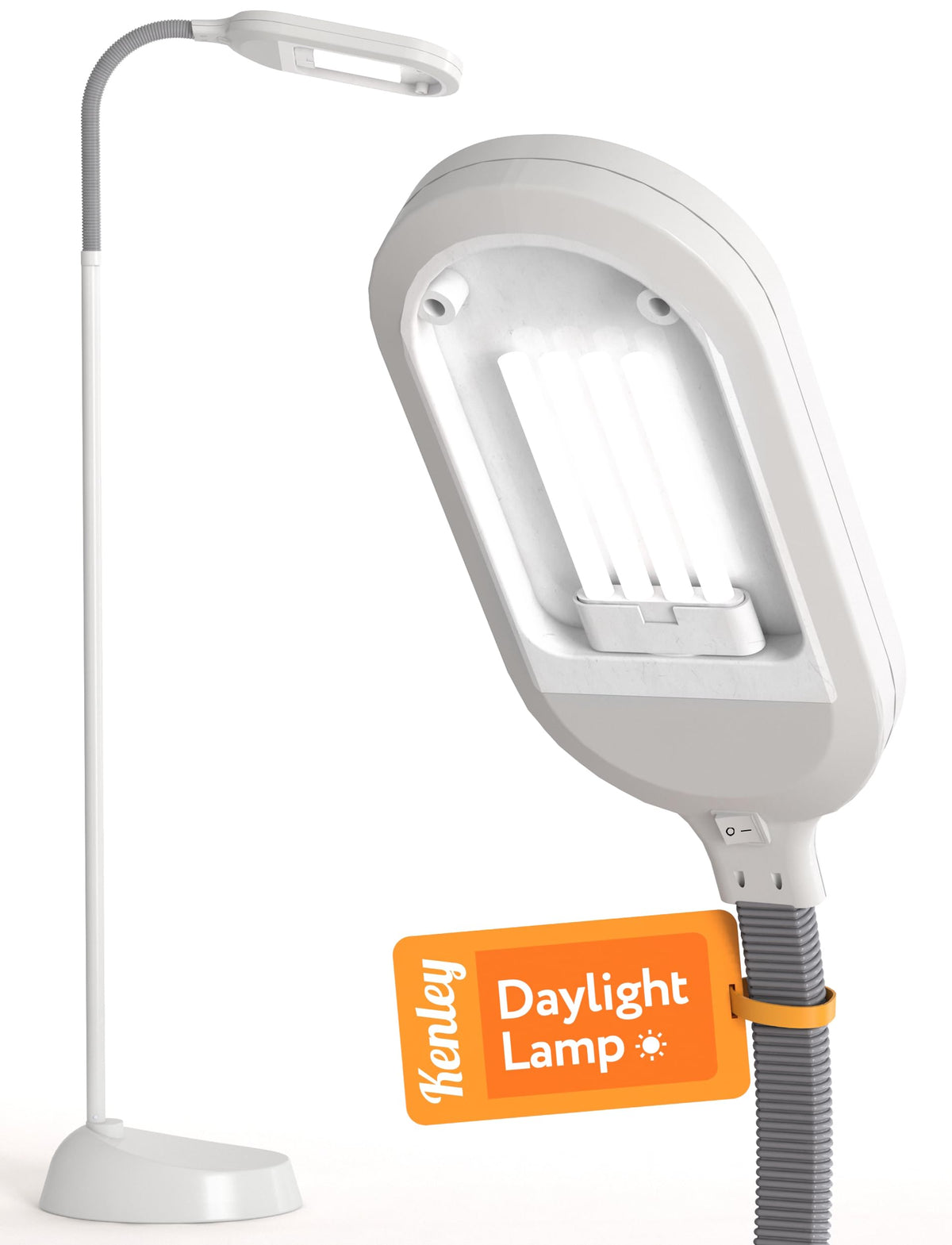 Kenley natural daylight floor lamp with adjustable gooseneck for precise task lighting