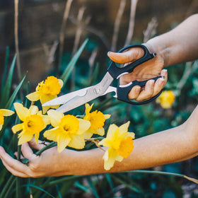 Kershaw Taskmaster Shears built-in tools boost kitchen and garage tasks.