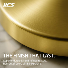 KES Gold toilet paper holder vertical rod illustrates roll compatibility