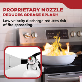Kidde extinguisher pressure indicator shows green when charged and ready.
