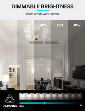 KINDEEP E12 candle bulb dimmable for ceiling fans with 600 lm brightness