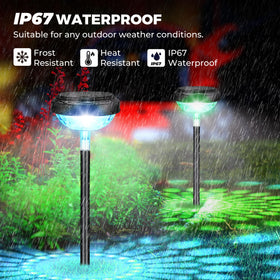 Kingsyard pathway light with cold-warm white LED for cozy evenings.