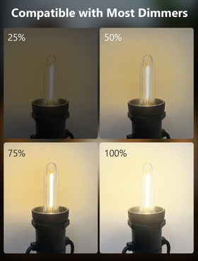 Kivonfa versatile bulb for chandeliers, night lights, and decorative fixtures.