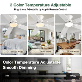 KNUN remote and app control simplifies ceiling fan operation.