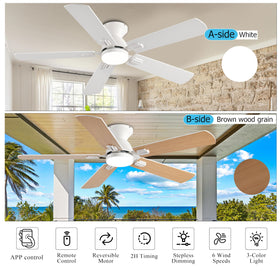 KNUN reversible blades enable summer cooling and winter air flow.