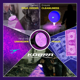 KOBRA UV flashlight bed bug detection in hotel rooms