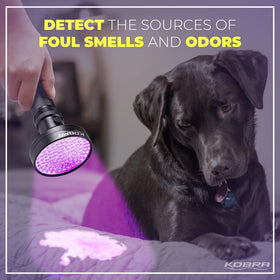 KOBRA UV flashlight detects pet urine on carpets