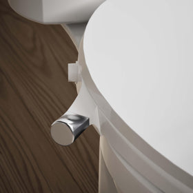 Kohler PureWash M300 quick-release hinges simplify cleaning.