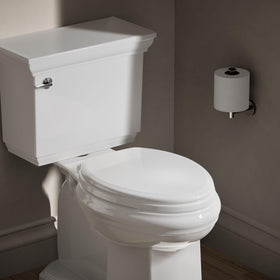 KOHLER Ridgewood quiet-close lid demonstrates silent operation to prevent slams.