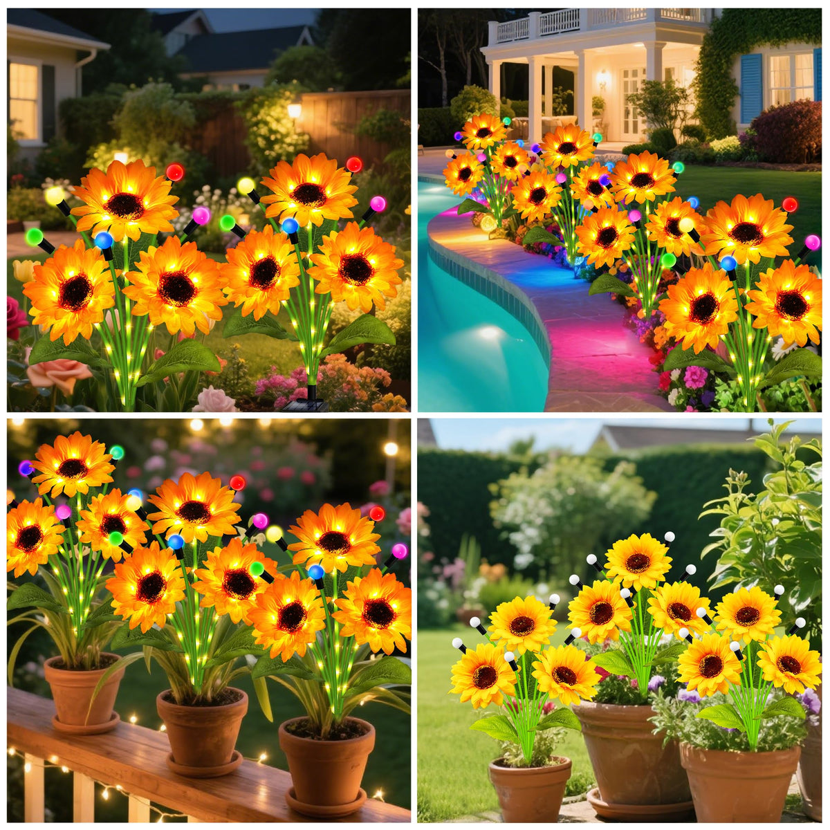 Kohlrabi Gift Pack Sunflowers ideal for Mother’s Day and birthdays.