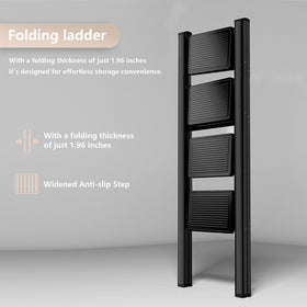 Koll Link lightweight-steel-ladder combines strength with easy carry.