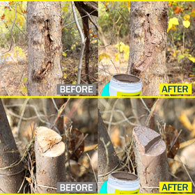 Konload dry-out-prevention guards exposed pruning sites during drought.
