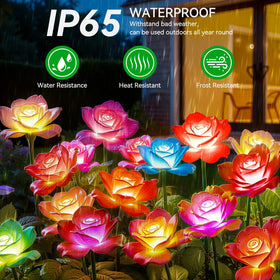 KOOPER 30 high-bright LEDs deliver vivid garden glow