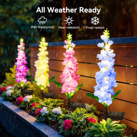 KOOPER delphinium solar light purple front view colorful garden border