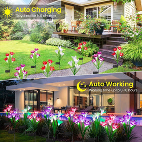 KOOPER IP65 waterproof solar lights withstand rain and snow for year-round use.