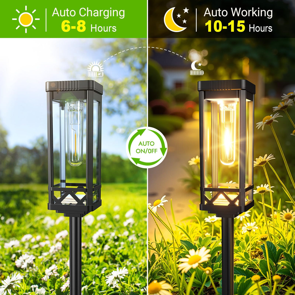 Ideal along walkways, borders, and near ponds for ambient safety