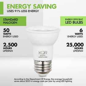 KOR PAR16 damp-location rated bulbs for indoor and outdoor use.