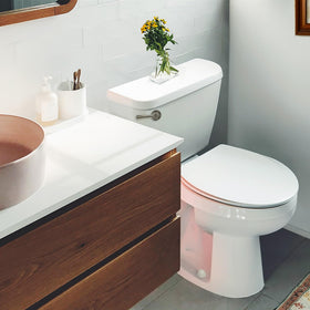 Korky StrongARM side-mount lever with corrosion-resistant finish.