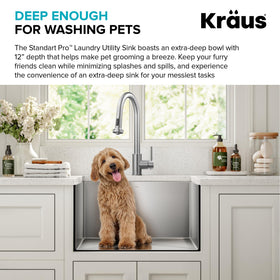 Kraus Standart PRO in laundry setting shows versatile utility.