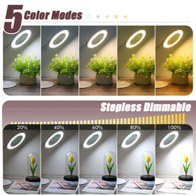 Krstlv five color illumination modes support varied tasks like painting.
