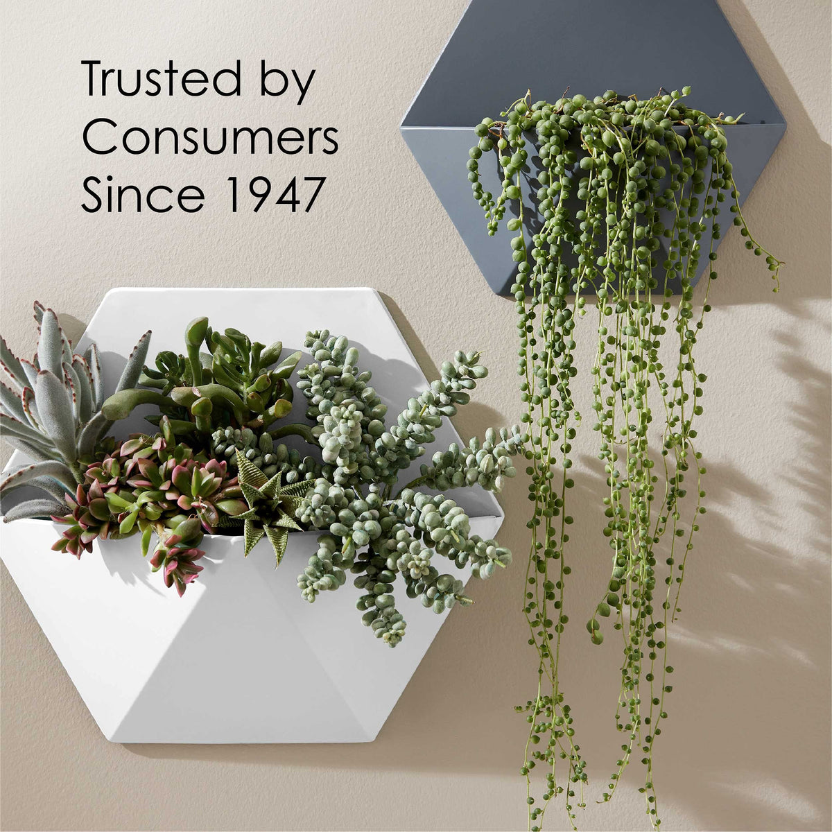 Krylon COLORmaxx covers a substantial area per can for quick refresh projects.