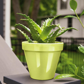 Krylon COLORmaxx trusted since 1947 for DIY painting and crafts.