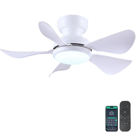 Kviflon 32-inch modern ceiling fan with light — compact flush-mount for low ceilings.