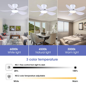 Kviflon dimmable LED light from warm to cool settings