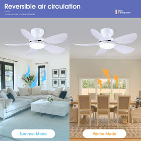 Kviflon remote control with fan and light for easy adjustments