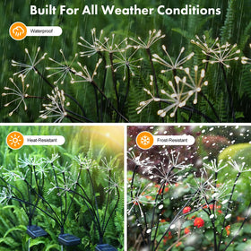 Easy-install Kwaiffeo solar lights brighten walkways in minutes.