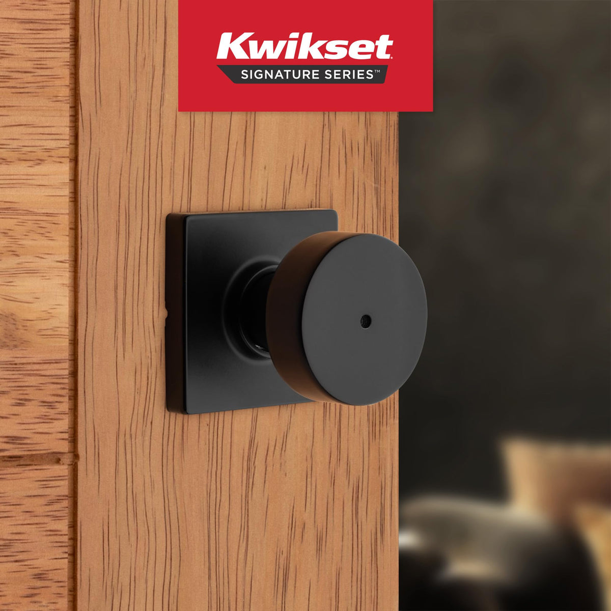 Close-up of Kwikset Pismo latch and inside turn button for privacy control.