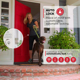 Powerbolt 240 auto-lock feature for hands-free security