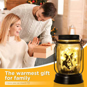 Kyoryuger Boston Terrier lantern creates warm dusk to dawn ambience
