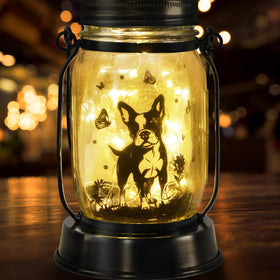 Kyoryuger solar lantern requires no wiring or maintenance