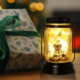Kyoryuger Boxer solar lantern hanging outdoors provides ambient lighting
