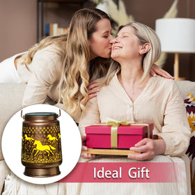 Kyoryuger gift lantern ideal for moms and women garden enthusiasts