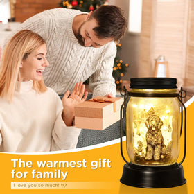Kyoryuger Goldendoodle solar lantern on garden display adding charm