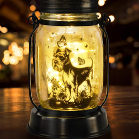 Kyoryuger memorial pet light honors a cherished companion with soft glow