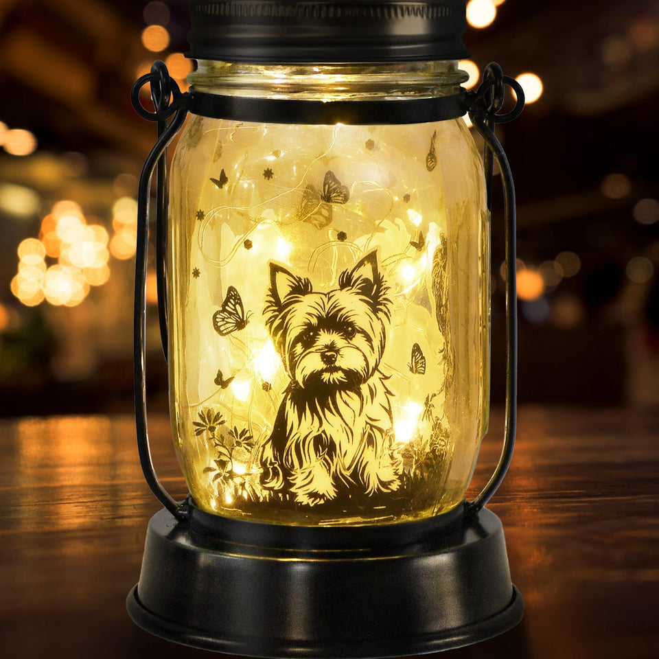 Kyoryuger solar lantern for yard design provides warm outdoor ambiance.