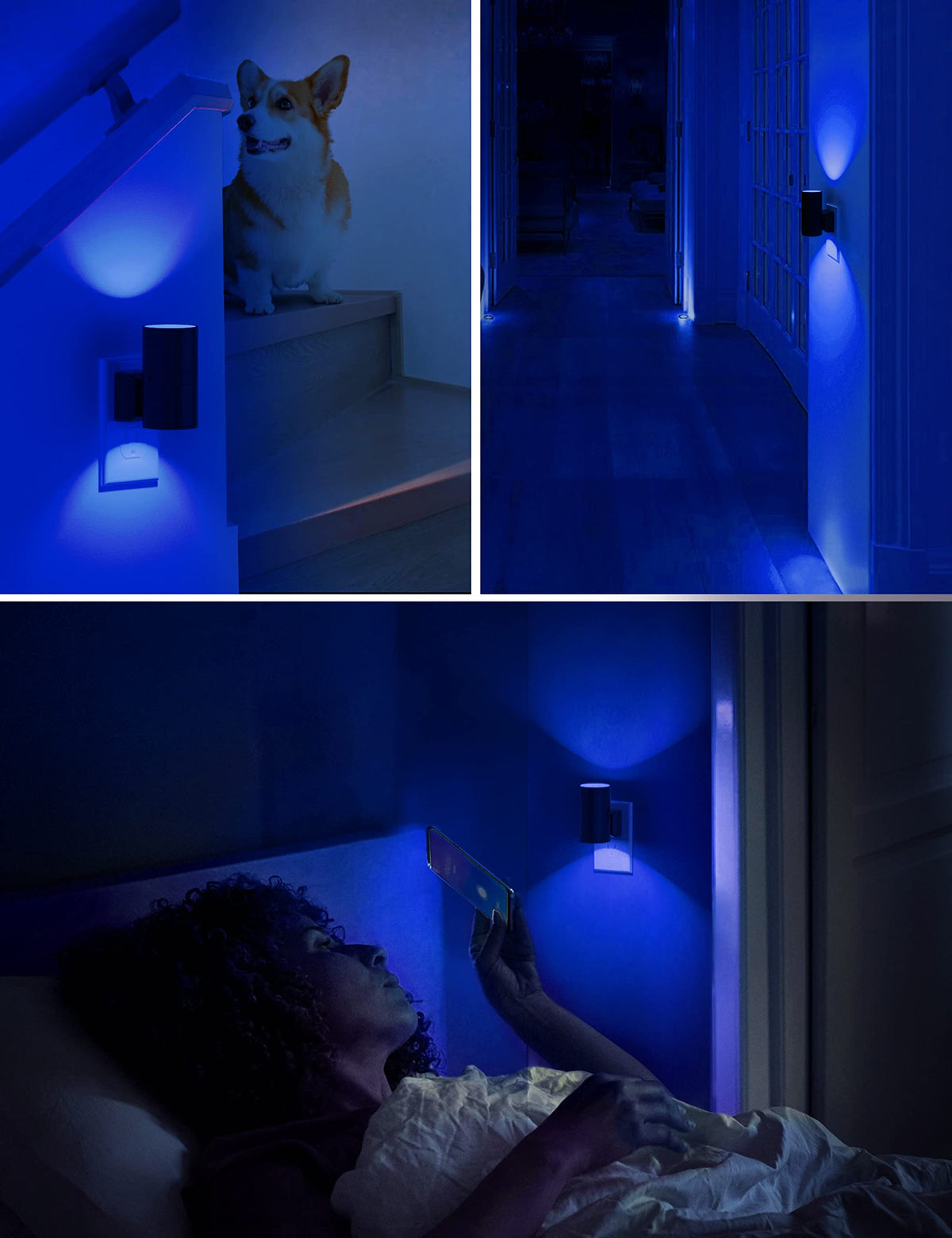 L LOHAS LED 360-degree night light for wide hallway coverage