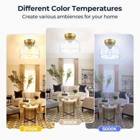 LACCEN compatible with E26 bases offering versatile bulb options.
