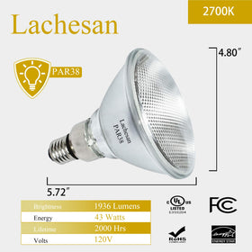 Lachesan PAR38 bulb ideal for recessed cans and track lighting.