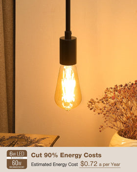 Lafoy Antique teardrop bulb enhances retro decor