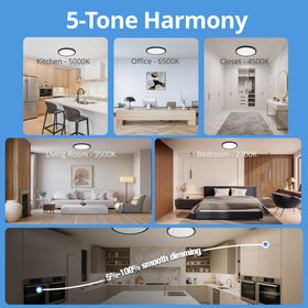 Laiyidia five CCT color temperature switch for versatile ambiance.