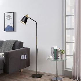 LALISU floor lamp black finish complements industrial decor.