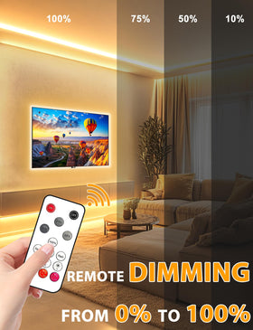 Lamomo COB LED strip pro remote control dimming for easy mood adjustment.