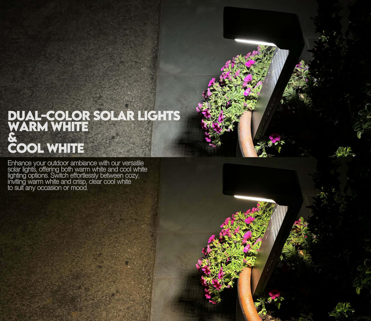 Lampat dual-color temperature switch highlights warm or cool light for outdoor ambiance.