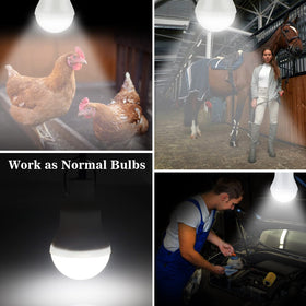 Lampelc solar setup used during emergencies for night lighting