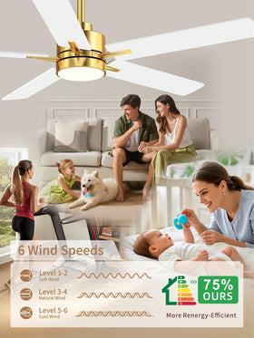 LANMEL indoor outdoor ceiling fan for versatility